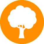A tree with leaves in the middle of it -Miami elderly community